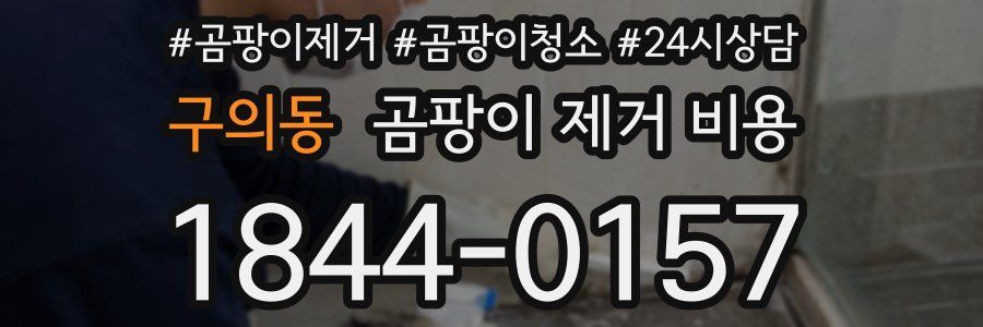 구의동 곰팡이 제거 비용