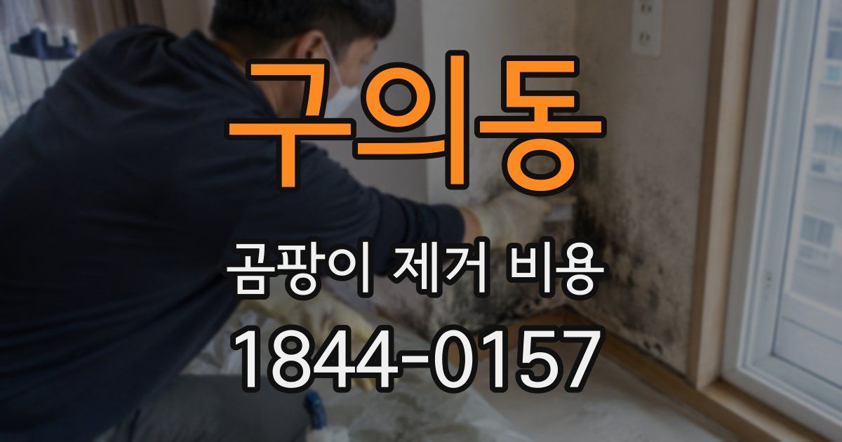 구의동 곰팡이 제거 비용
