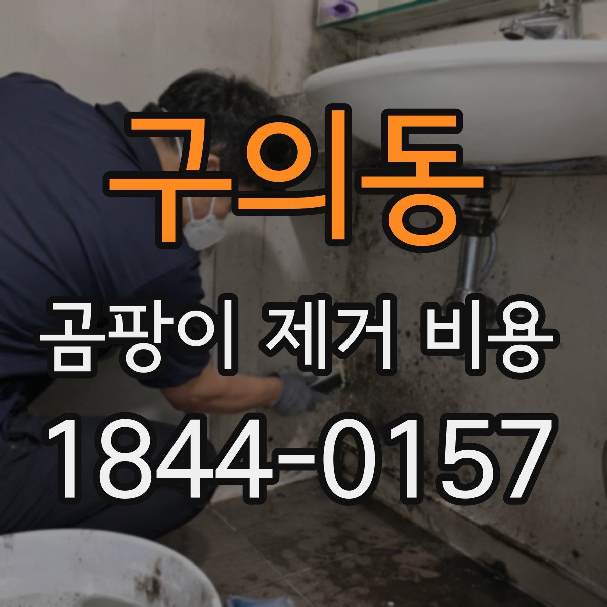 구의동 곰팡이 제거 비용