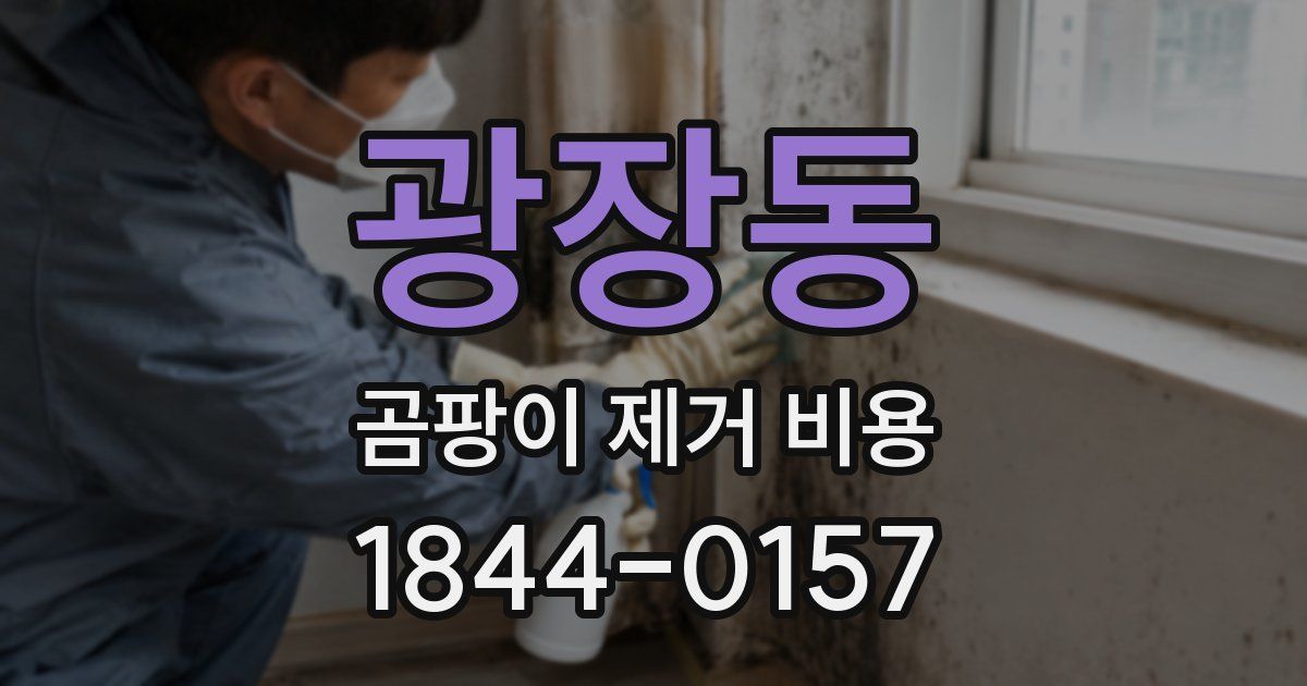 광장동 곰팡이 제거 비용