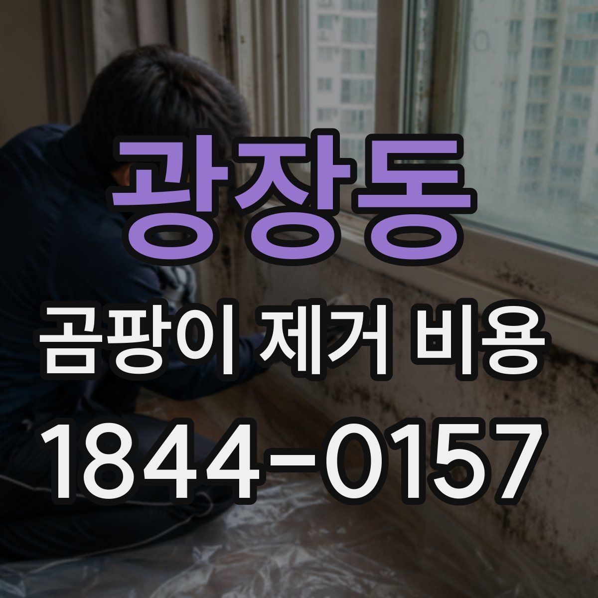 광장동 곰팡이 제거 비용