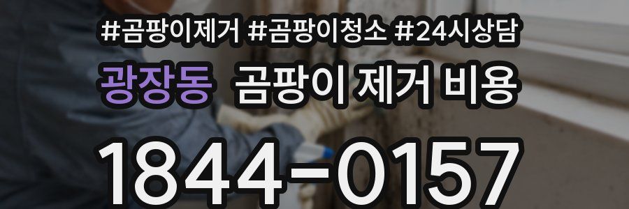 광장동 곰팡이 제거 비용