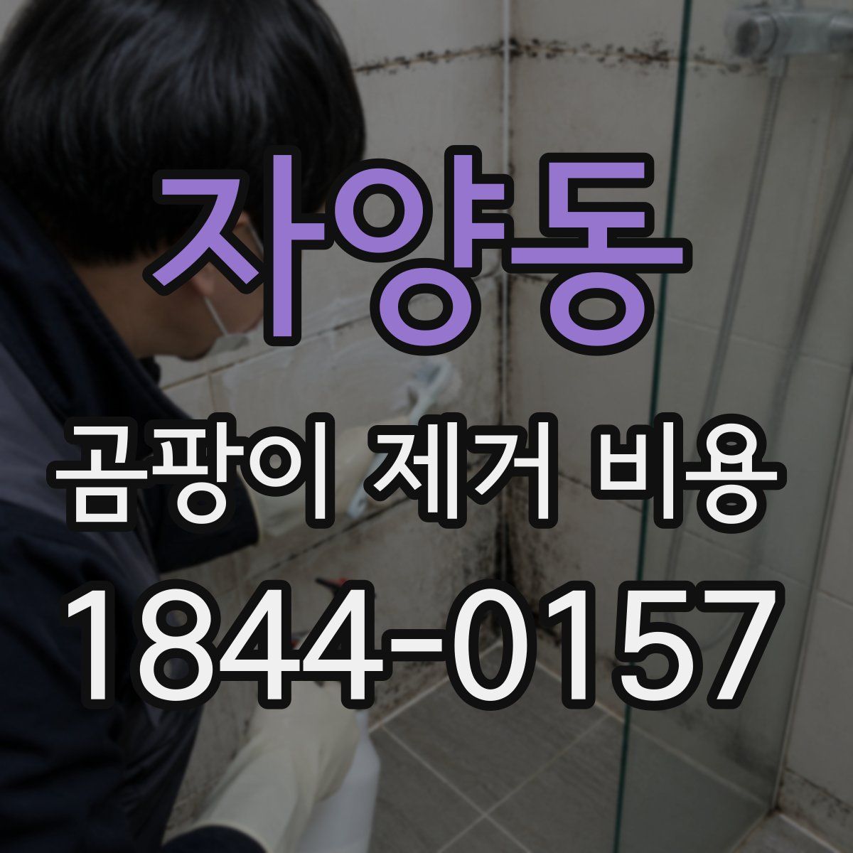자양동 곰팡이 제거 비용
