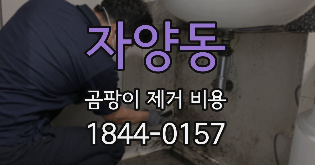 자양동 곰팡이 제거 비용