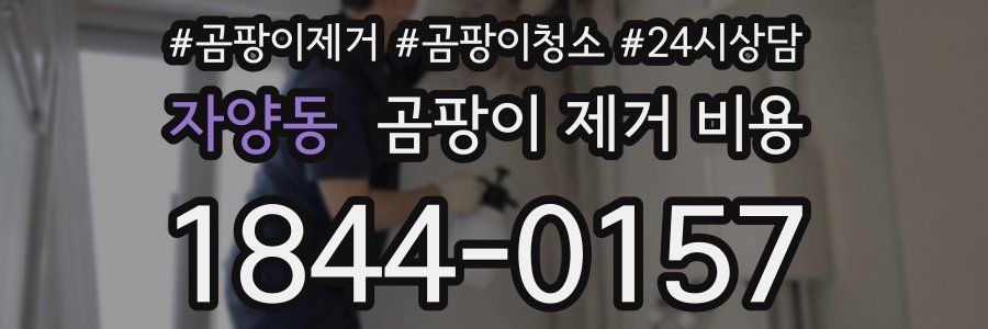 자양동 곰팡이 제거 비용