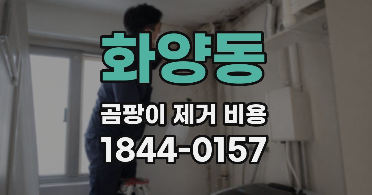 화양동 곰팡이 제거 비용