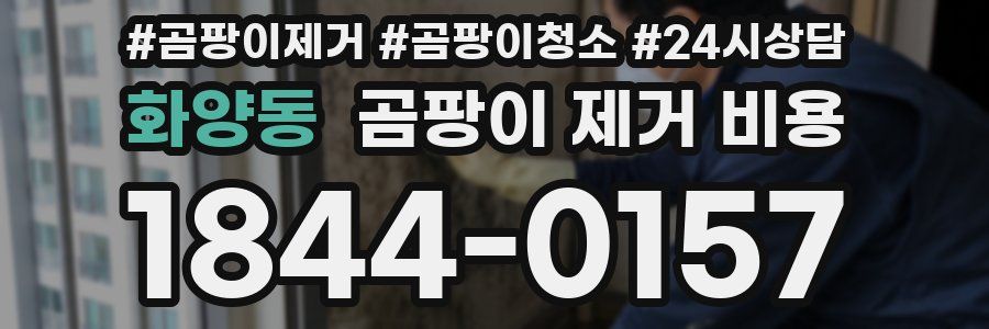 화양동 곰팡이 제거 비용