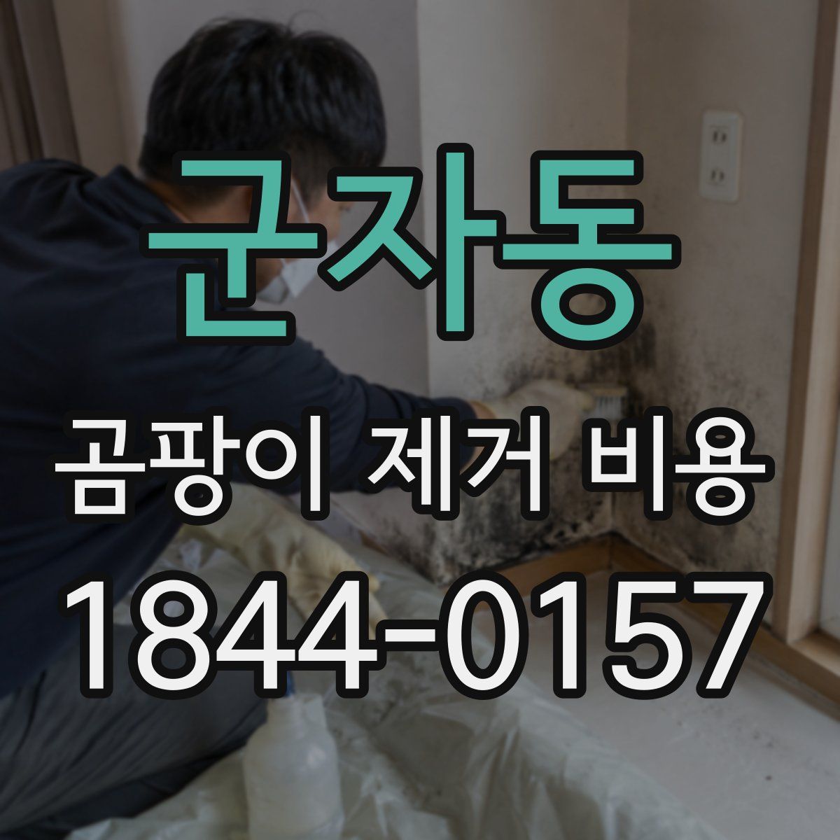 군자동 곰팡이 제거 비용