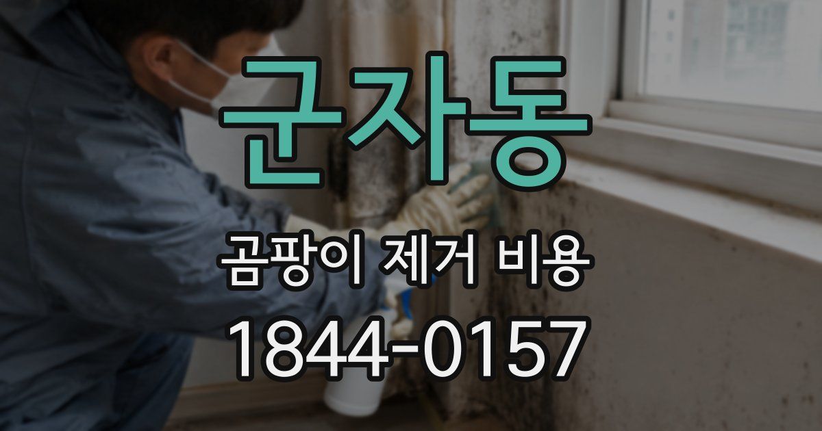 군자동 곰팡이 제거 비용