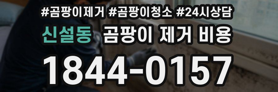 신설동 곰팡이 제거 비용