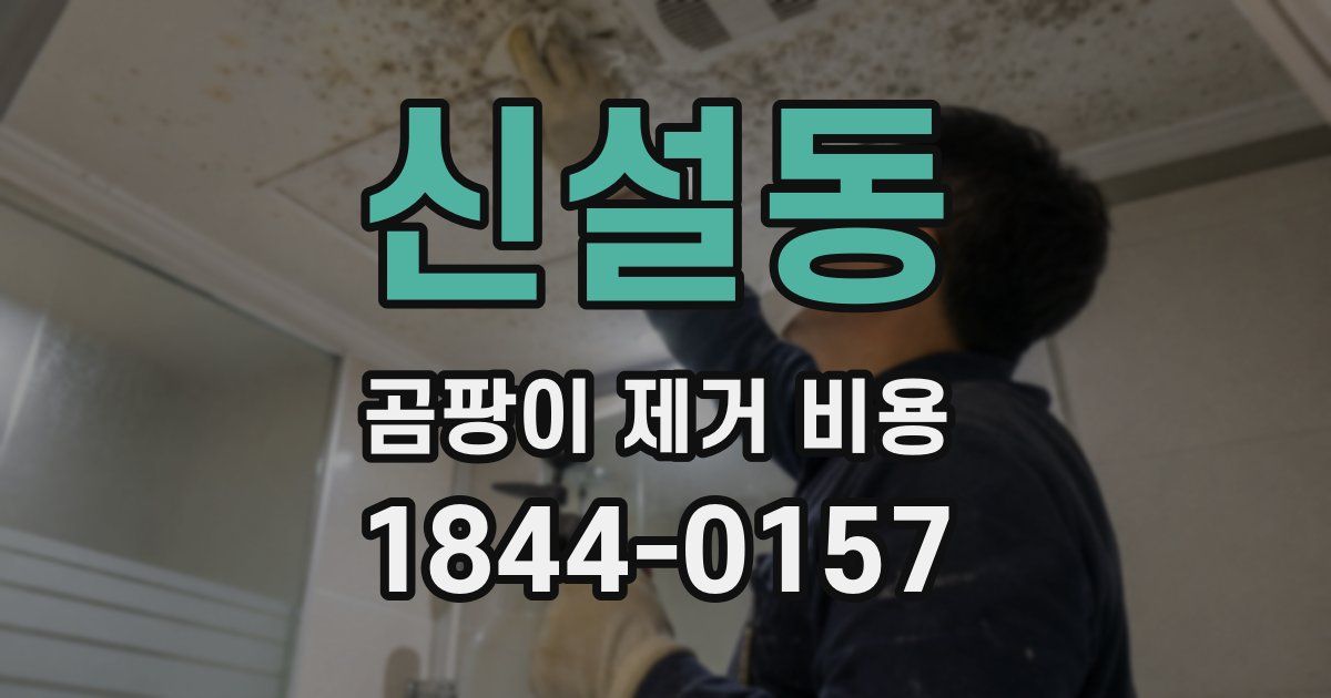 신설동 곰팡이 제거 비용