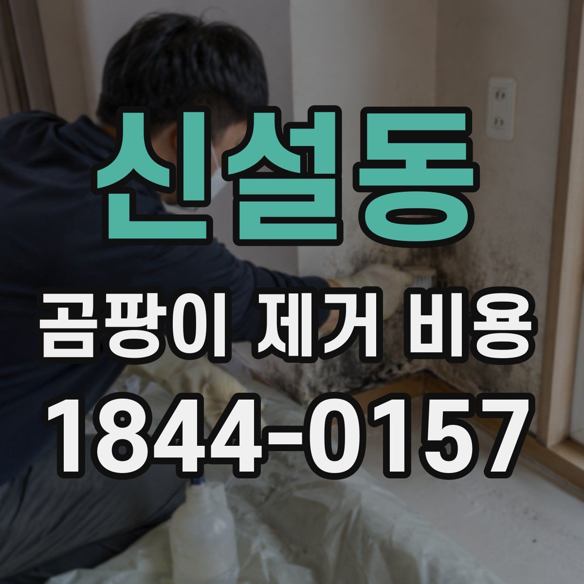 신설동 곰팡이 제거 비용
