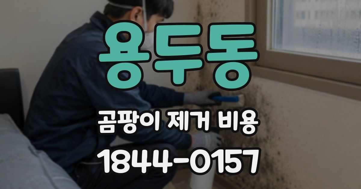 용두동 곰팡이 제거 비용