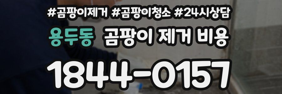 용두동 곰팡이 제거 비용