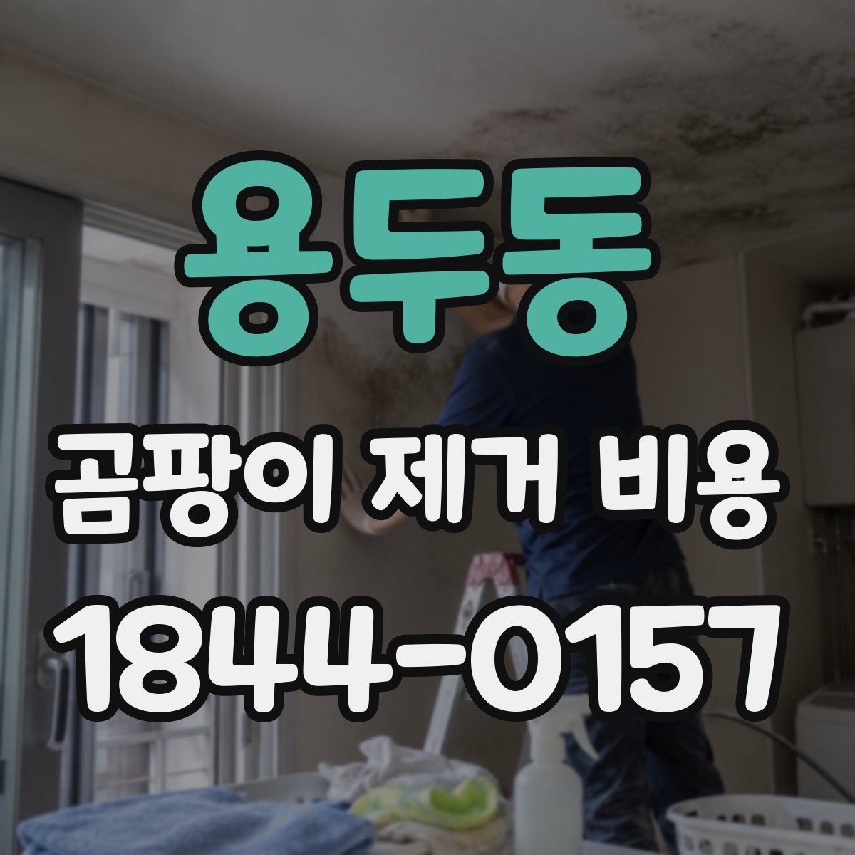 용두동 곰팡이 제거 비용