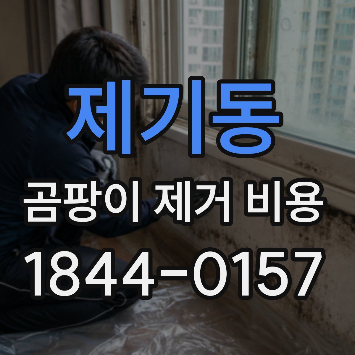 제기동 곰팡이 제거 비용