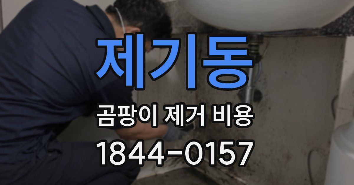 제기동 곰팡이 제거 비용