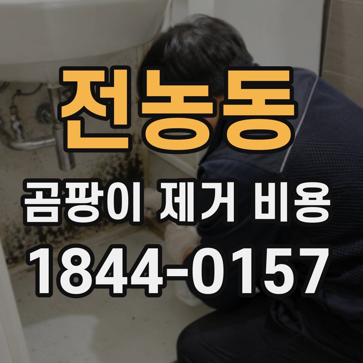 전농동 곰팡이 제거 비용