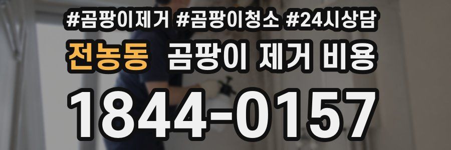 전농동 곰팡이 제거 비용