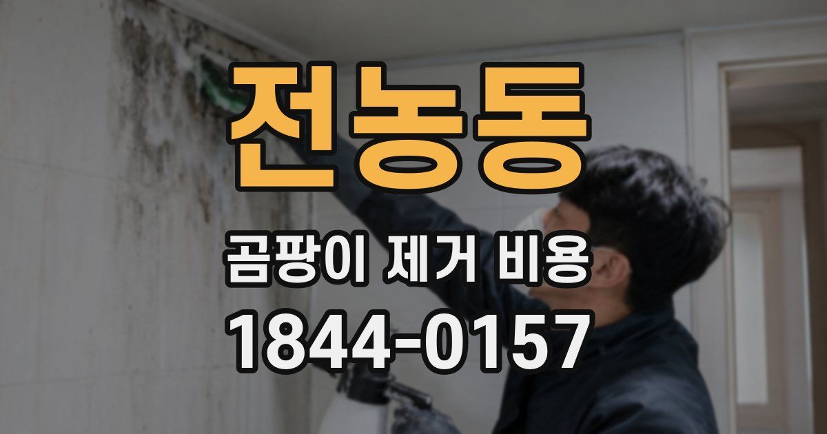 전농동 곰팡이 제거 비용