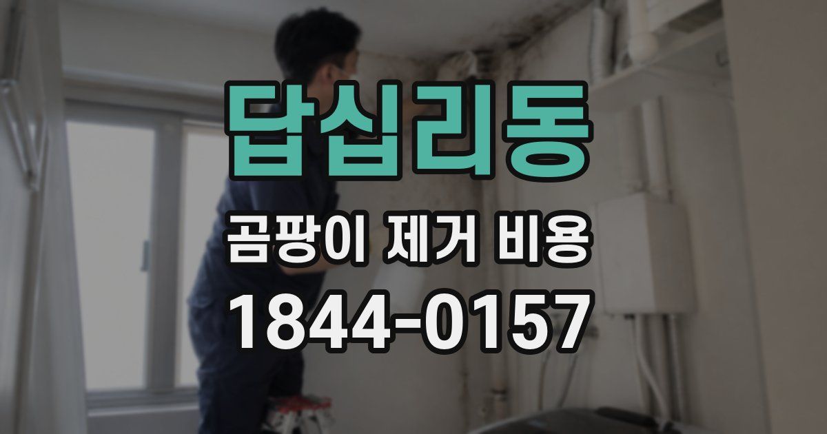 답십리동 곰팡이 제거 비용