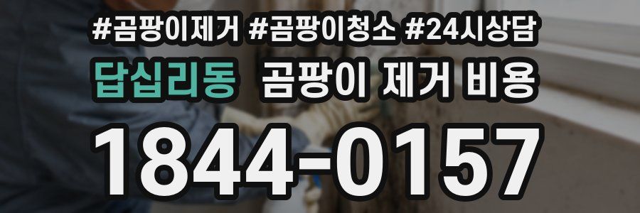 답십리동 곰팡이 제거 비용