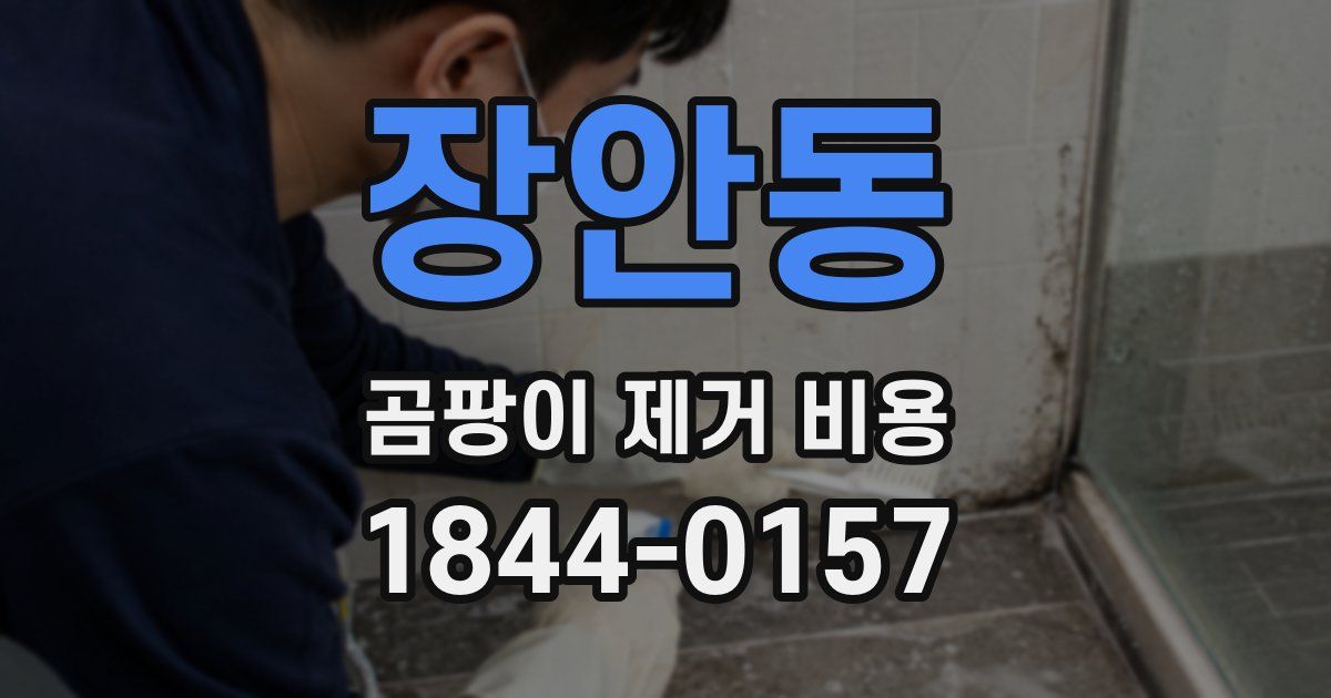 장안동 곰팡이 제거 비용