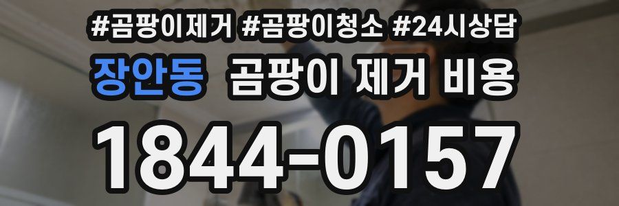 장안동 곰팡이 제거 비용