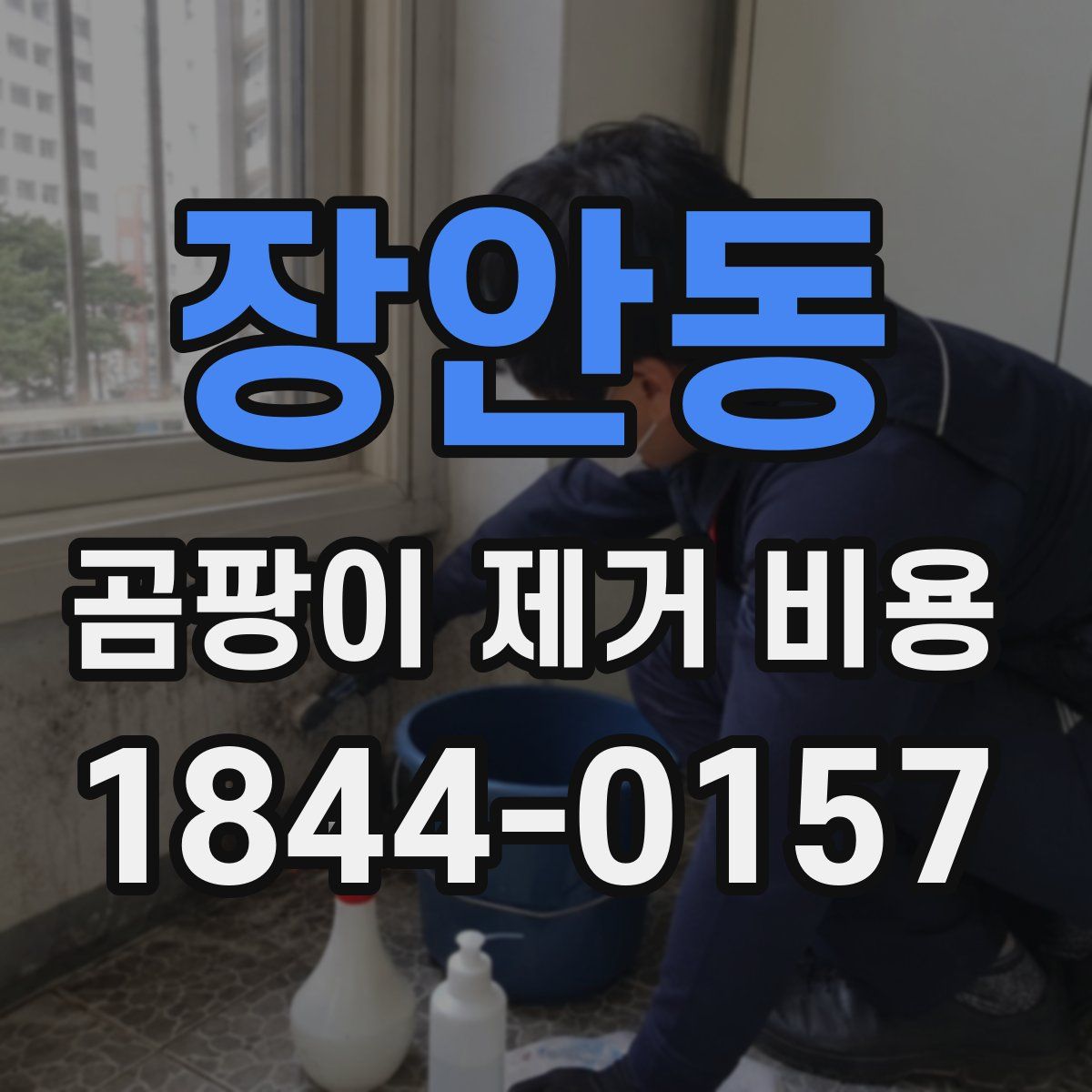 장안동 곰팡이 제거 비용