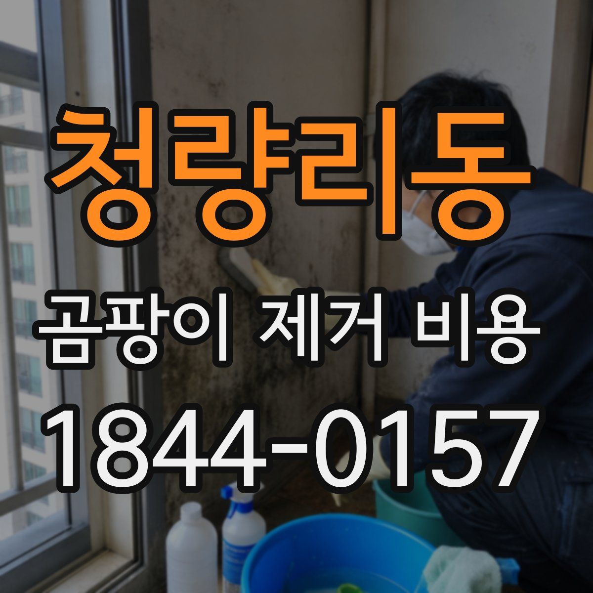청량리동 곰팡이 제거 비용