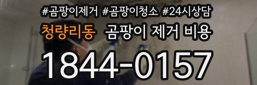 청량리동 곰팡이 제거 비용