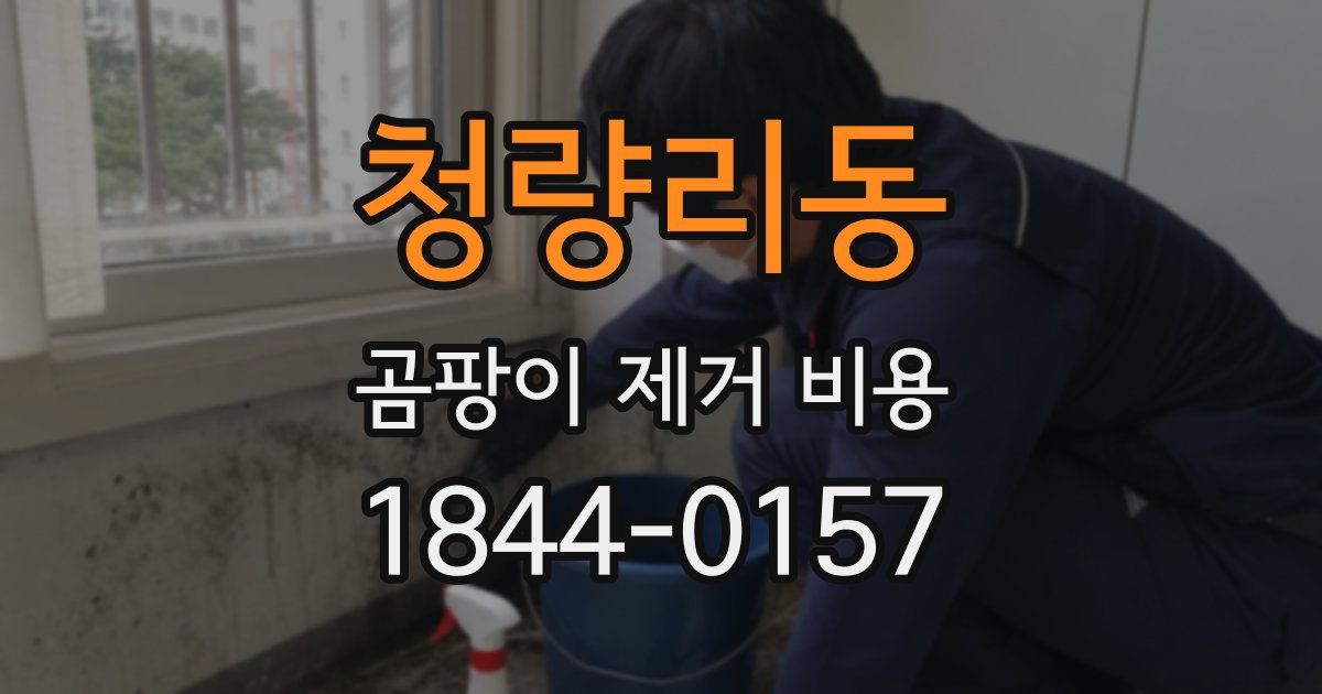 청량리동 곰팡이 제거 비용