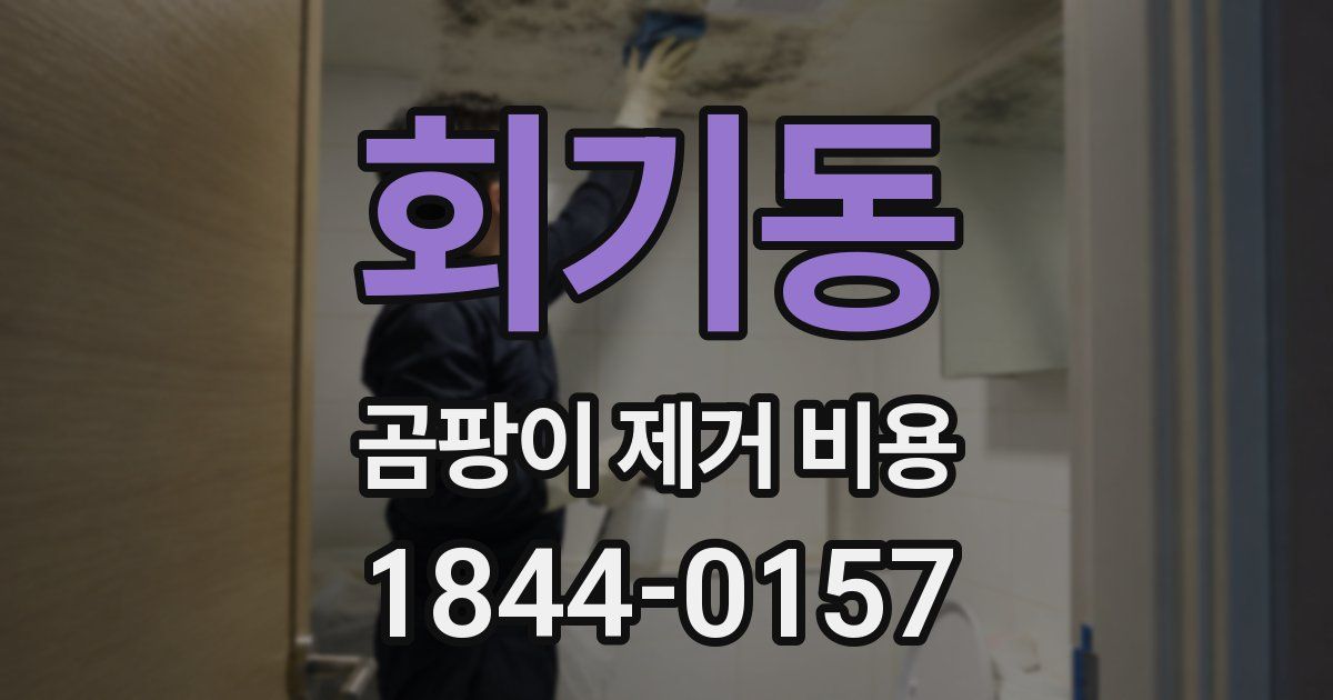 회기동 곰팡이 제거 비용