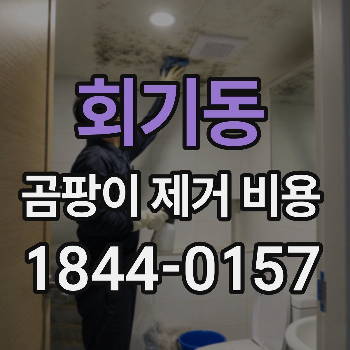 회기동 곰팡이 제거 비용