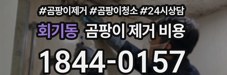 회기동 곰팡이 제거 비용