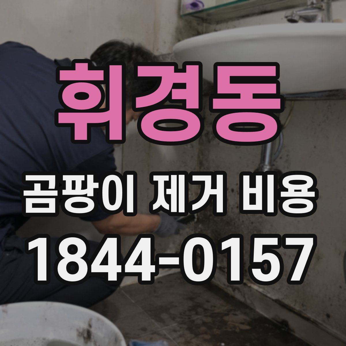 휘경동 곰팡이 제거 비용