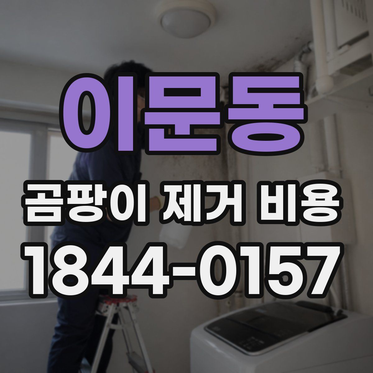 이문동 곰팡이 제거 비용