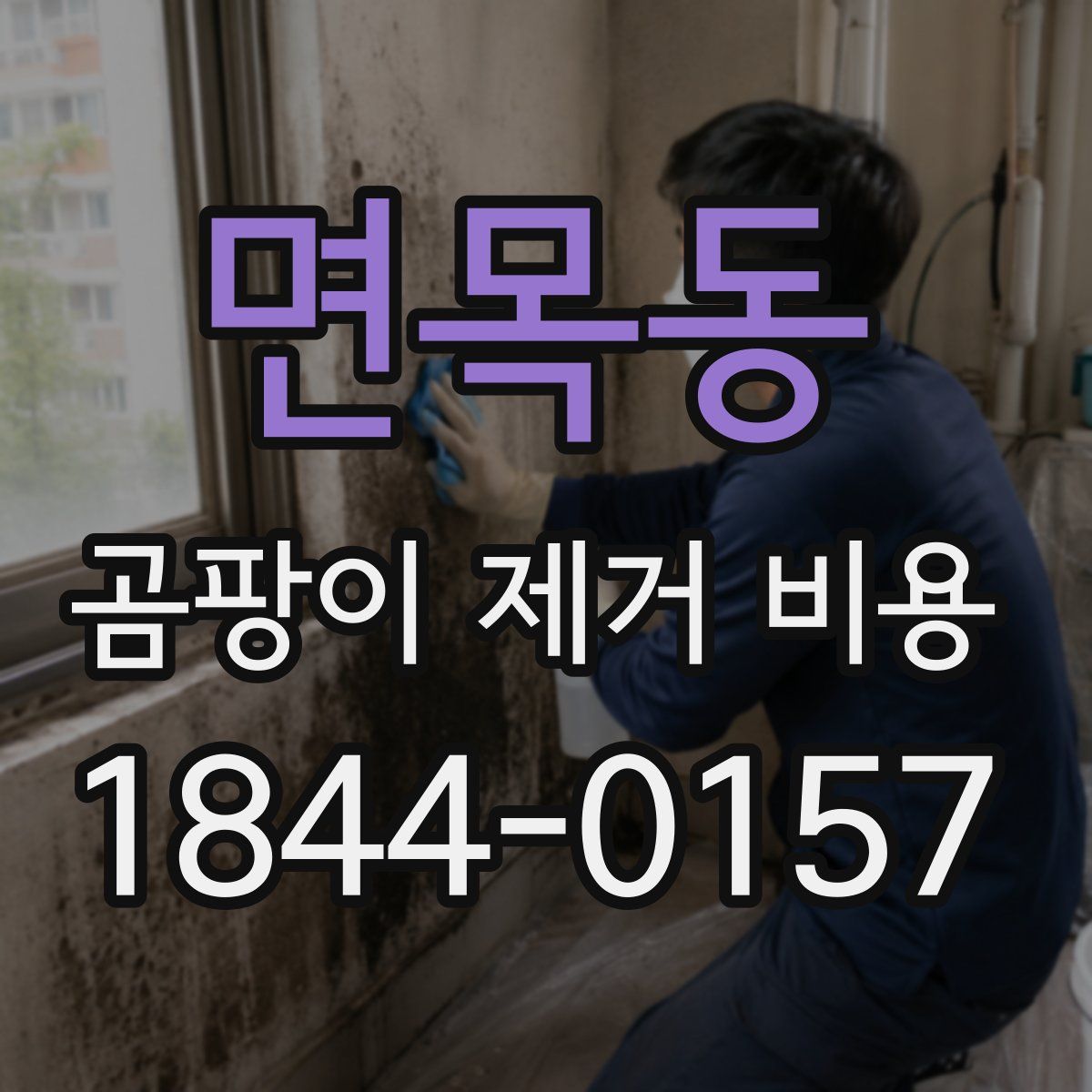 면목동 곰팡이 제거 비용