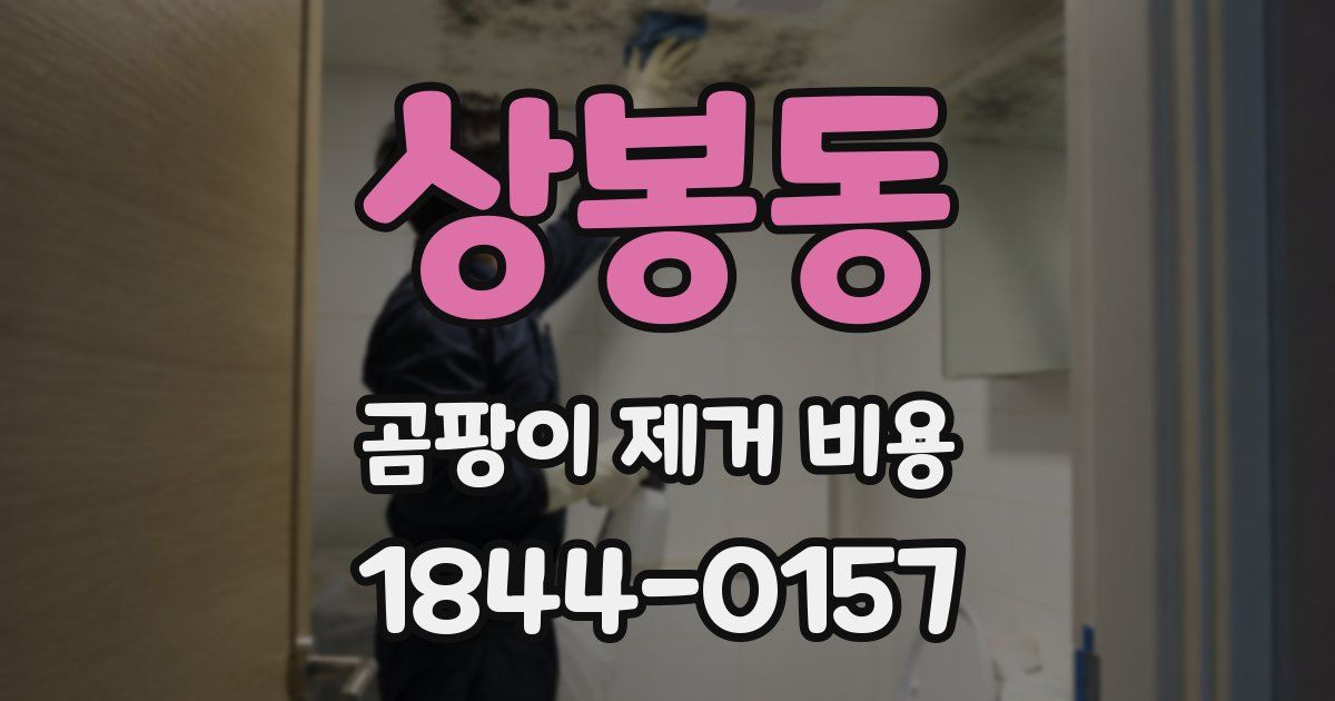 상봉동 곰팡이 제거 비용