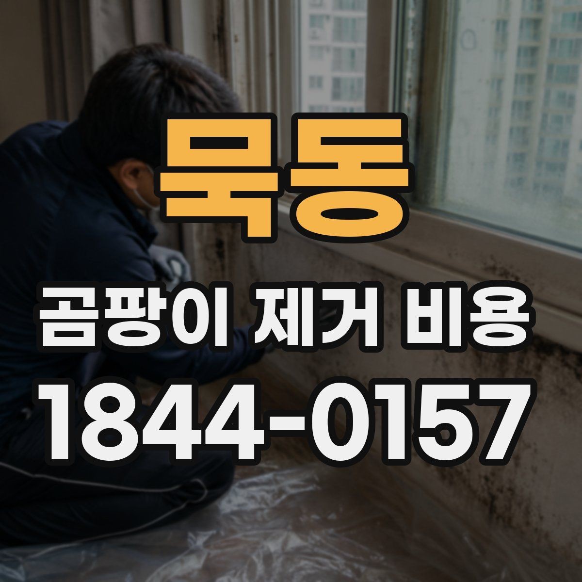 묵동 곰팡이 제거 비용 재발 원인을 함께 점검해야 하는 이유
