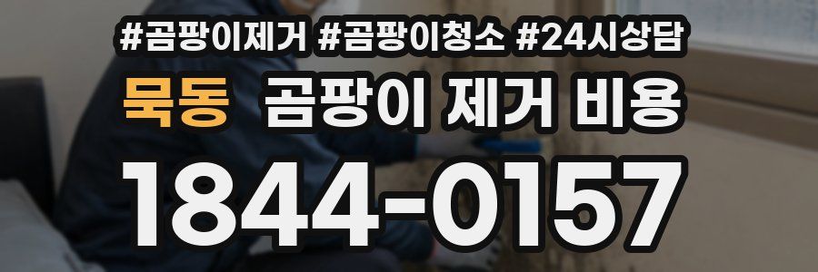묵동 곰팡이 제거 비용