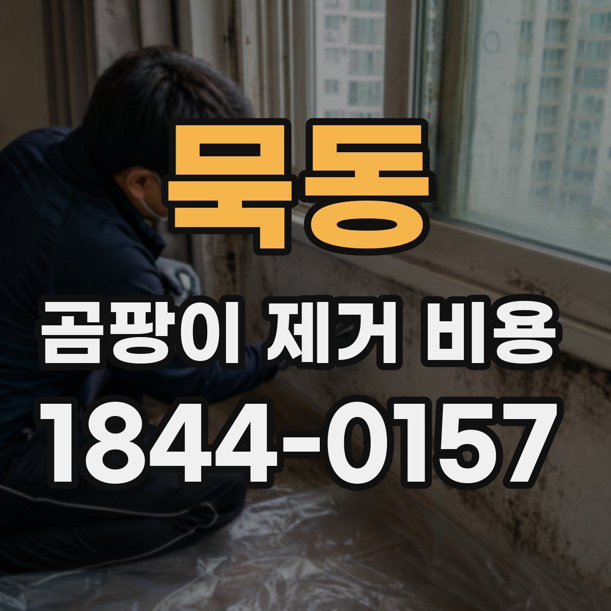 묵동 곰팡이 제거 비용