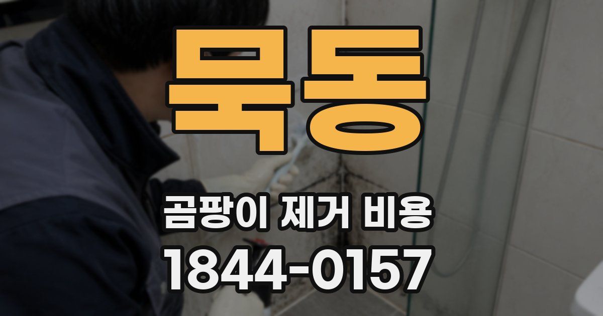 묵동 곰팡이 제거 비용