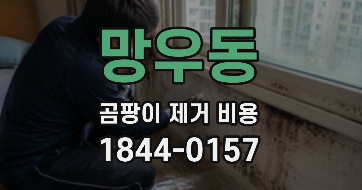 망우동 곰팡이 제거 비용