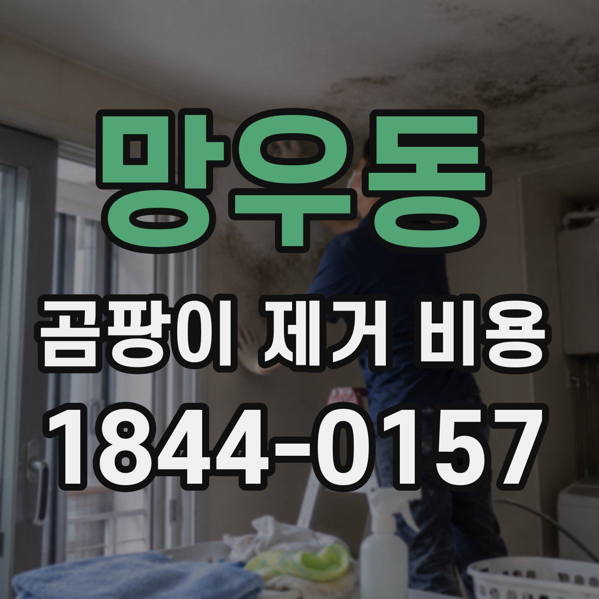 망우동 곰팡이 제거 비용