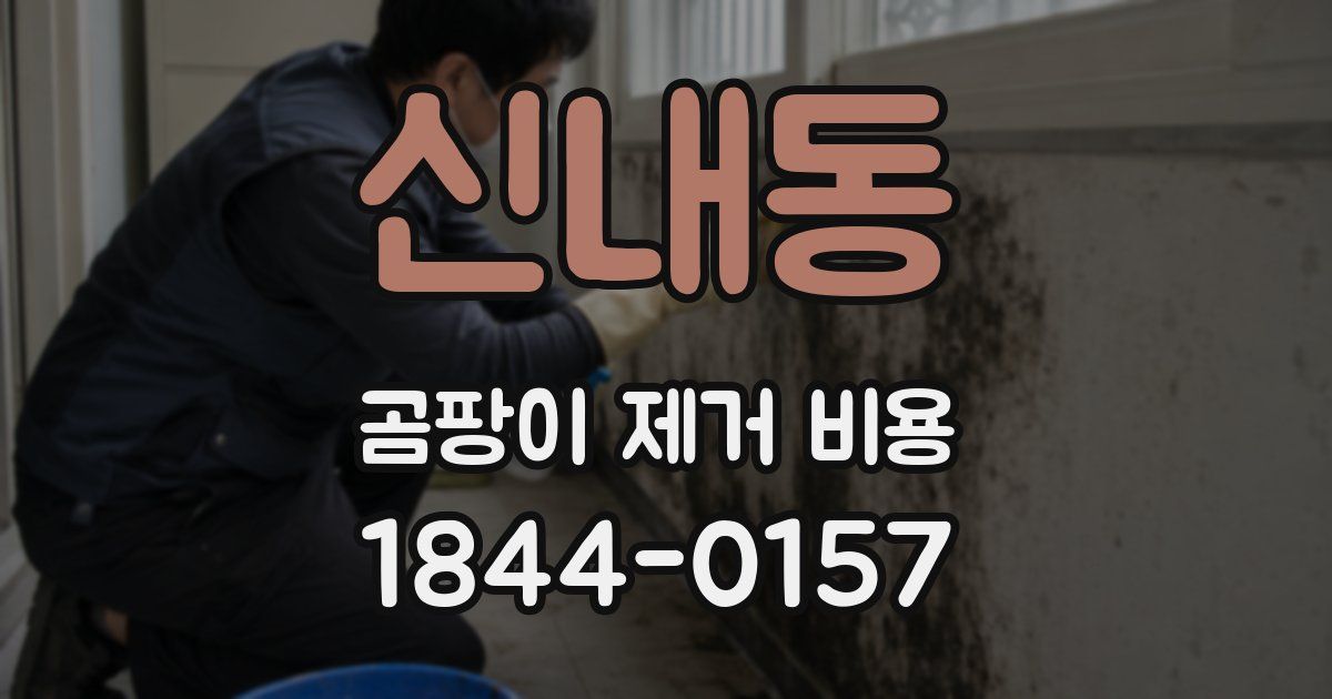 신내동 곰팡이 제거 비용