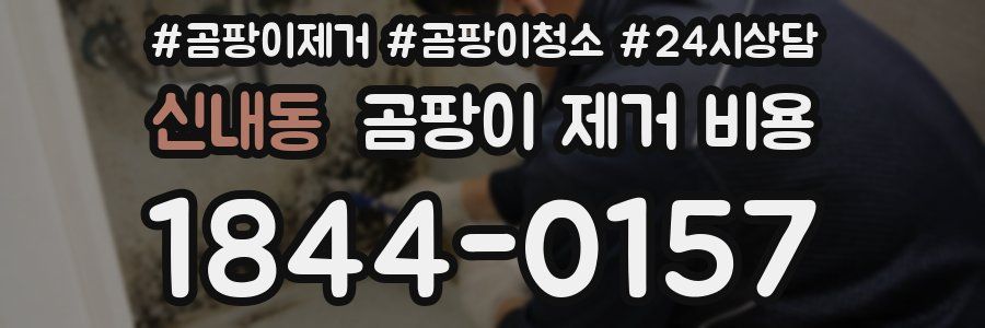 신내동 곰팡이 제거 비용