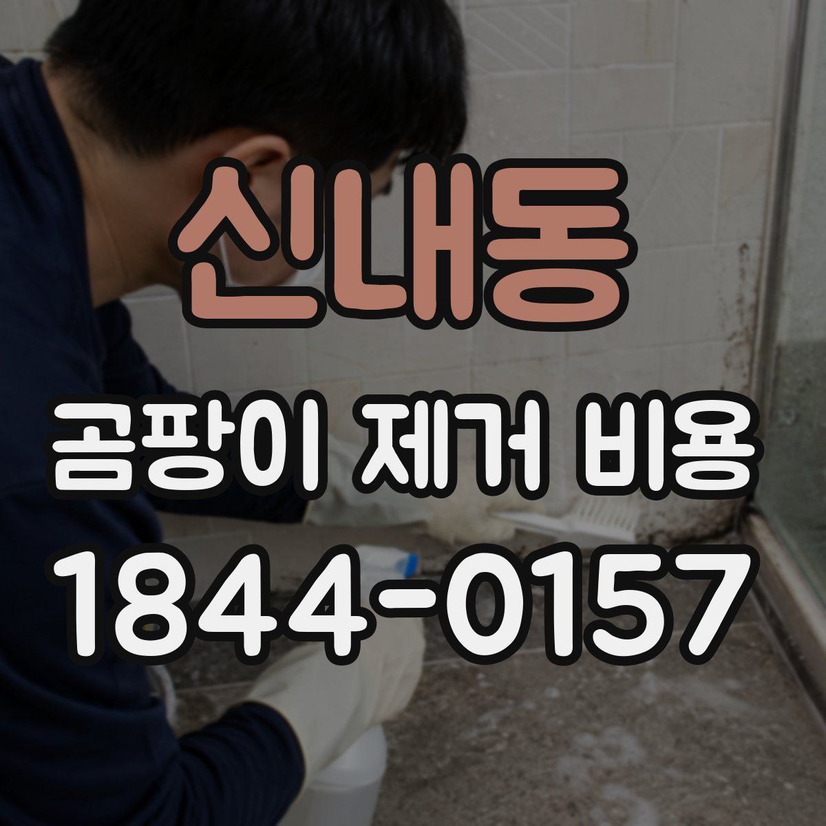 신내동 곰팡이 제거 비용