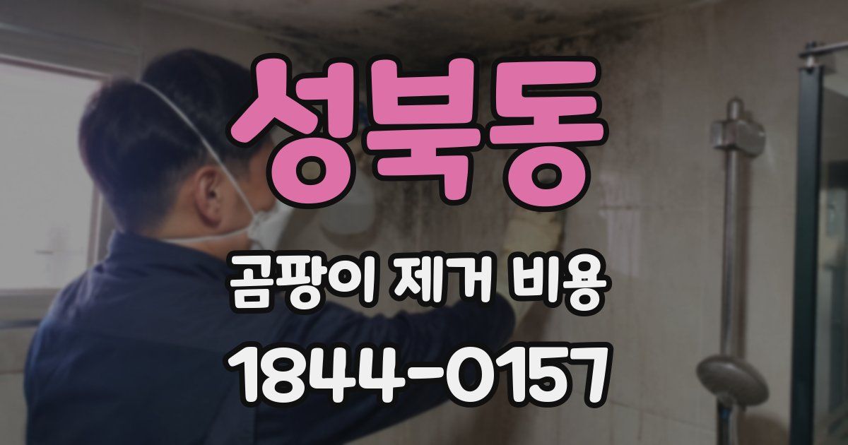 성북동 곰팡이 제거 비용