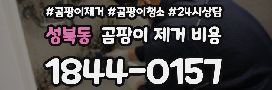 성북동 곰팡이 제거 비용